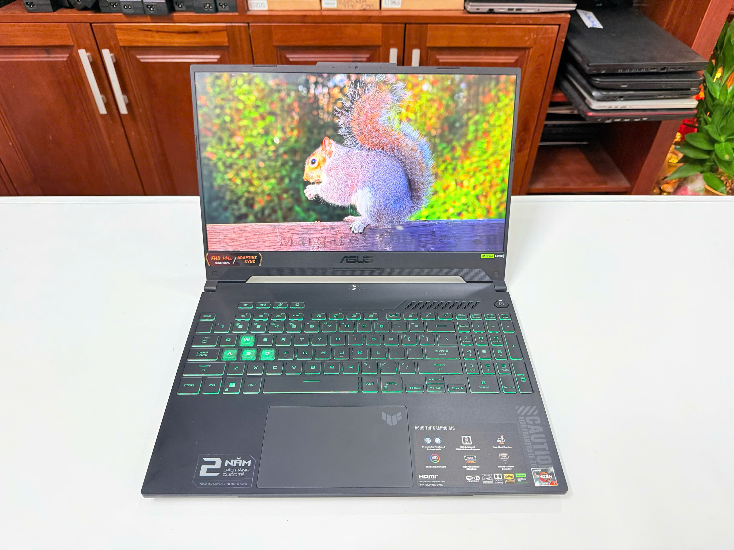 ASUS TUF Gaming A15 FA507NU-LP031W